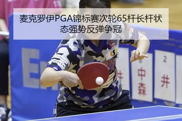 mai-ke-luo-yi-jin-biao-sai-ci-lun-gan-zhang-gan-zhuang-tai-qiang-shi-fan-tan-zheng-guan-3-373.jpg