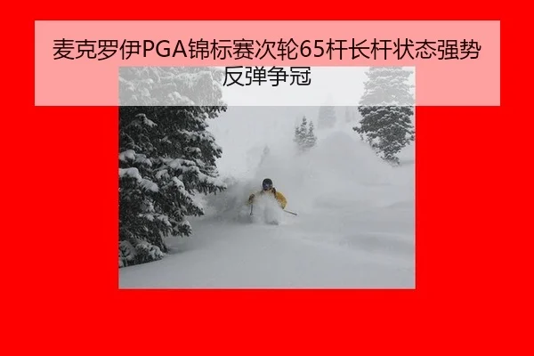 麦克罗伊PGA锦标赛次轮65杆长杆状态强势反弹争冠