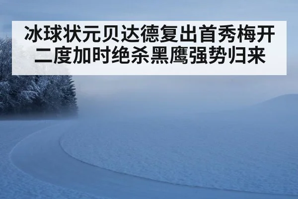 冰球状元贝达德复出首秀梅开二度加时绝杀黑鹰强势归来
