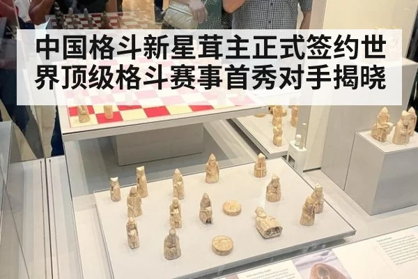 中国格斗新星茸主正式签约世界顶级格斗赛事首秀对手揭晓