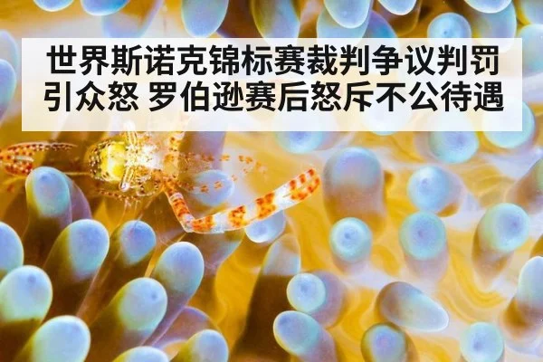 世界斯诺克锦标赛裁判争议判罚引众怒 罗伯逊赛后怒斥不公待遇